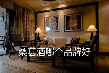 桑葚酒哪個(gè)品牌好