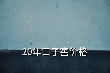 20年口子窖價格