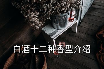 白酒十二種香型介紹