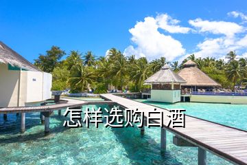 怎樣選購(gòu)白酒