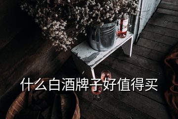 什么白酒牌子好值得買