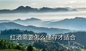 紅酒需要怎么儲(chǔ)存才適合