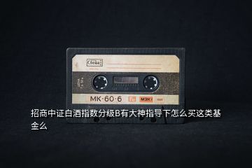招商中證白酒指數(shù)分級B有大神指導(dǎo)下怎么買這類基金么