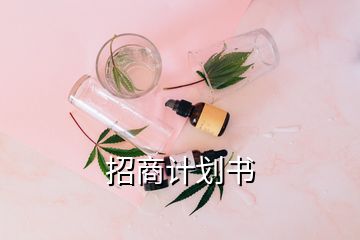 招商計(jì)劃書
