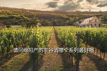 請(qǐng)問(wèn)綿陽(yáng)產(chǎn)的豐谷酒哪個(gè)系列最好喝