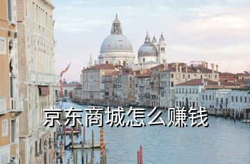 京東商城怎么賺錢