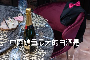 中國(guó)銷(xiāo)量最大的白酒是