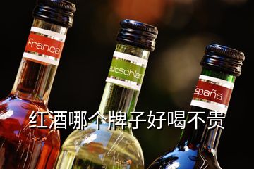 紅酒哪個(gè)牌子好喝不貴