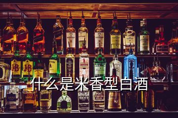 什么是米香型白酒