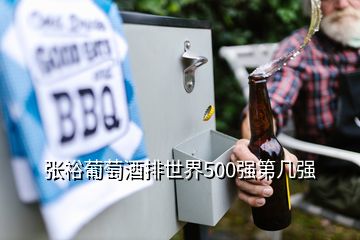 張?jiān)Ｆ咸丫婆攀澜?00強(qiáng)第幾強(qiáng)