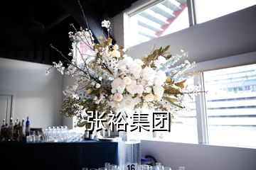 張?jiān)＜瘓F(tuán)