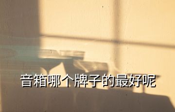 音箱哪個牌子的最好呢
