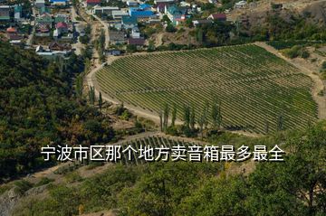 寧波市區(qū)那個地方賣音箱最多最全