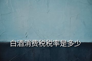 白酒消費稅稅率是多少