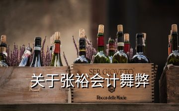 關于張裕會計舞弊