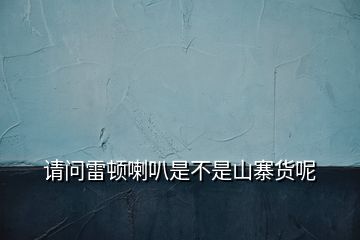 請問雷頓喇叭是不是山寨貨呢
