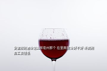 安徽雙輪酒業(yè)怎么樣亳州那個 在里面就業(yè)好不好 聽說剛去工資怪低