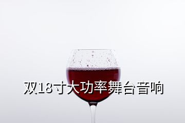 雙18寸大功率舞臺(tái)音響