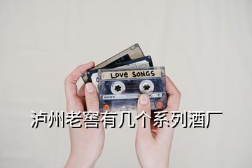 瀘州老窖有幾個(gè)系列酒廠(chǎng)