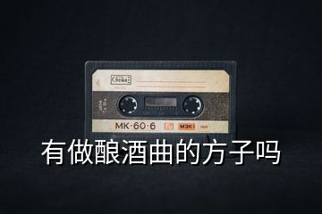 有做釀酒曲的方子嗎