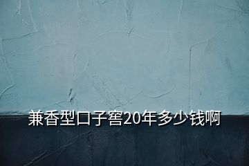 兼香型口子窖20年多少錢啊