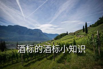 酒標(biāo)的酒標(biāo)小知識(shí)