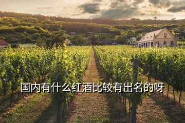 國內有什么紅酒比較有出名的呀