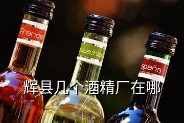 輝縣幾個(gè)酒精廠在哪