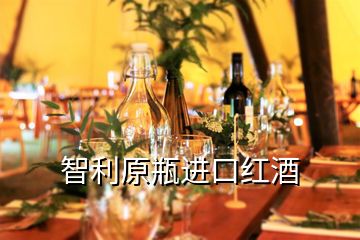 智利原瓶進口紅酒