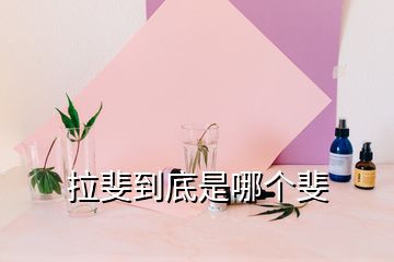 拉斐到底是哪個(gè)斐