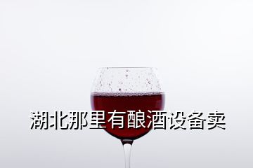 湖北那里有釀酒設備賣