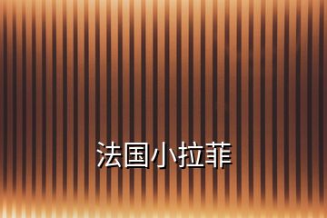 法國(guó)小拉菲