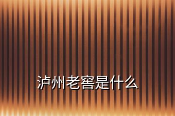 瀘州老窖是什么