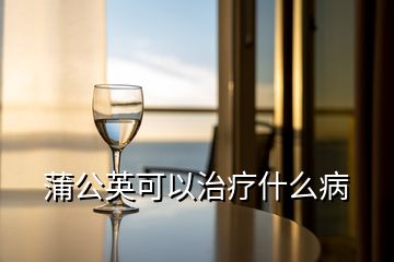 蒲公英可以治療什么病