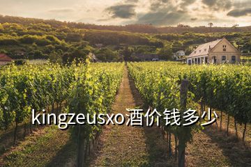kingzeusxo酒價(jià)錢多少