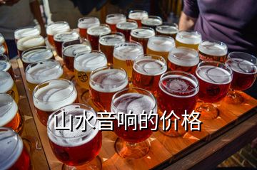 山水音響的價格