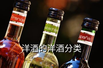 洋酒的洋酒分類(lèi)