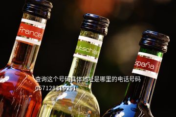 查詢這個(gè)號(hào)碼具體地址是哪里的電話號(hào)碼057128319291