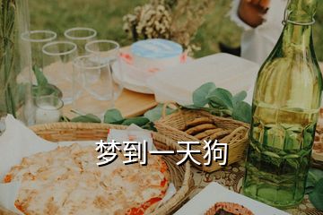 夢(mèng)到一天狗