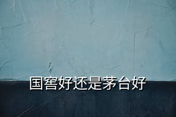 國(guó)窖好還是茅臺(tái)好