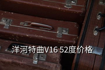 洋河特曲V16 52度價(jià)格