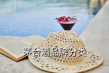茅臺(tái)酒品牌分類(lèi)
