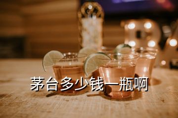 茅臺多少錢一瓶啊