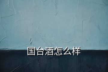 國臺酒怎么樣