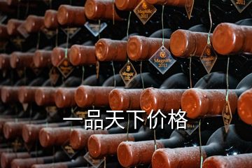 一品天下價格