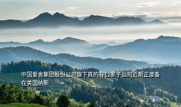 中國(guó)愛(ài)舍集團(tuán)股份公司旗下真的有12家子公司近期正準(zhǔn)備在美國(guó)納斯