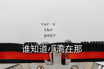 誰知道小灣在那