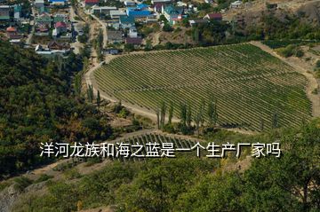 洋河龍族和海之藍(lán)是一個生產(chǎn)廠家嗎