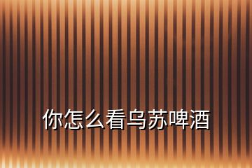 你怎么看烏蘇啤酒