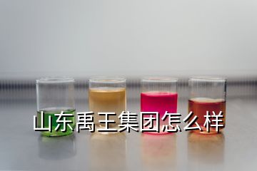 山東禹王集團怎么樣